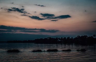 Rafting the Zambezi31