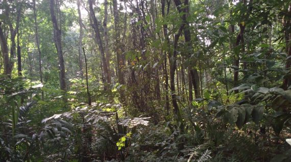 Sao Tome and Principe20