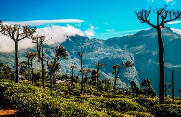 Sri Lanka Exped Bandarawela 32