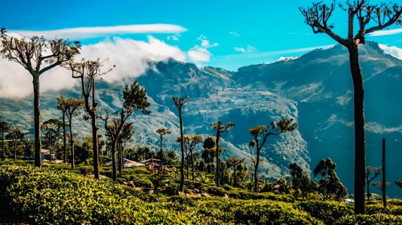 Sri Lanka Exped Bandarawela 32