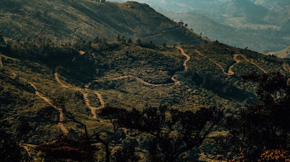 Sri Lanka Exped Horton Plains 64