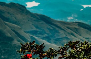Sri Lanka Exped Horton plains 42